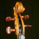 Carcassi L & T violin, 17..