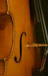 Cello Pedrazzini Giuseppe Milano 1913