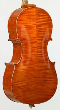 Capicchioni Mario cello